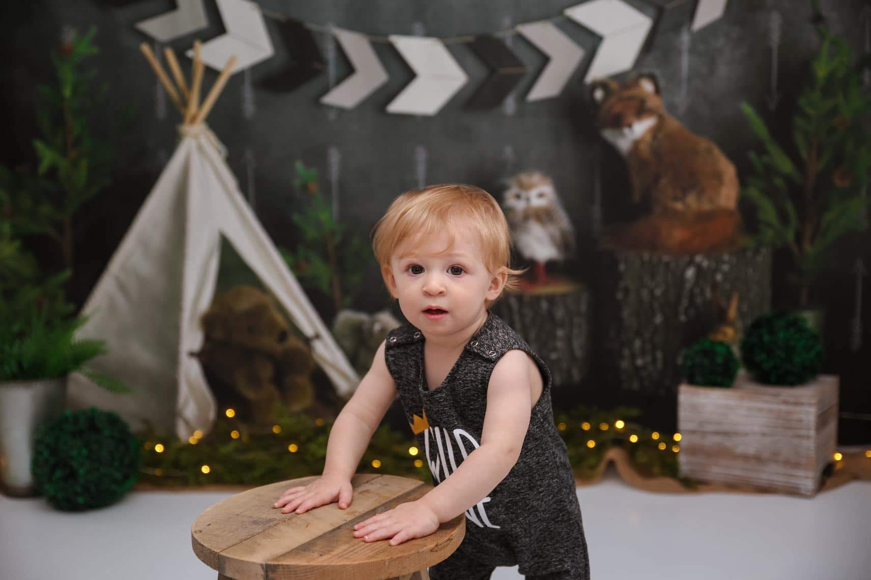 Kate Wild Birthday with Animals Children Backdrop Designed By Mandy Ringe Photography -UK