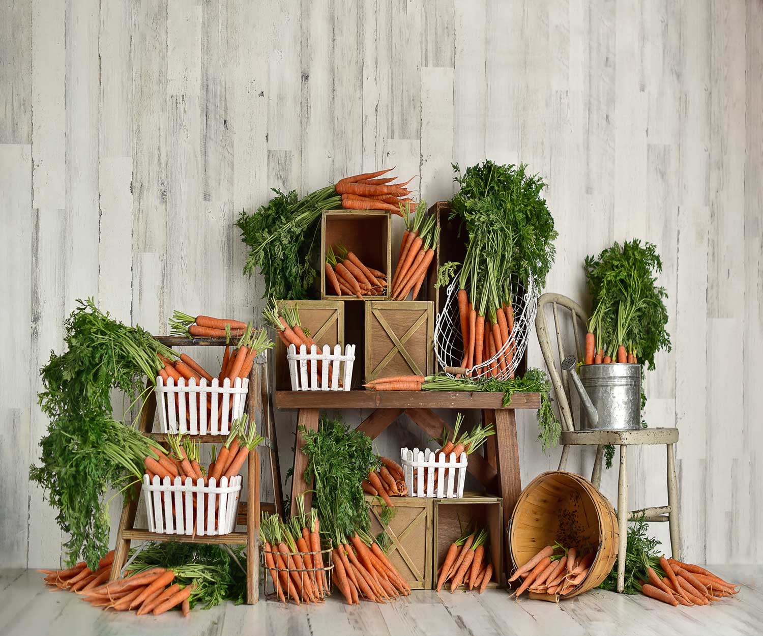 Kate Spring\Easter Carrots Children Backdrop Designed By Mandy Ringe Photography -UK