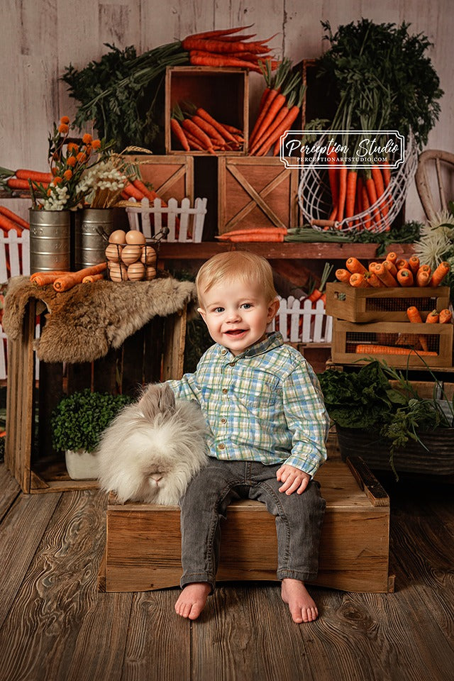 Kate Spring\Easter Carrots Children Backdrop Designed By Mandy Ringe Photography -UK