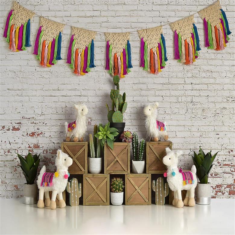 Kate Spring Llamas with Cactus and Macrame Backdrop Designed By Mandy Ringe Photography -UK