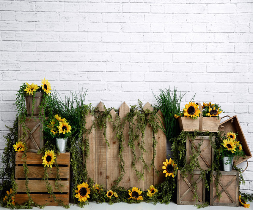 Kate Spring Sunflower White Brick Backdrop Designed by Megan Leigh Photography -UK