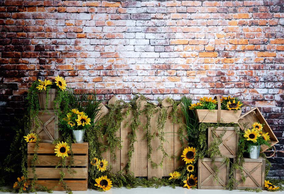 Kate Summer Sunflower Dark Brick Backdrop Designed by Megan Leigh Photography -UK