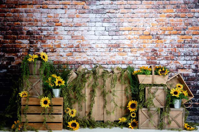 Kate Summer Sunflower Dark Brick Backdrop Designed by Megan Leigh Photography -UK