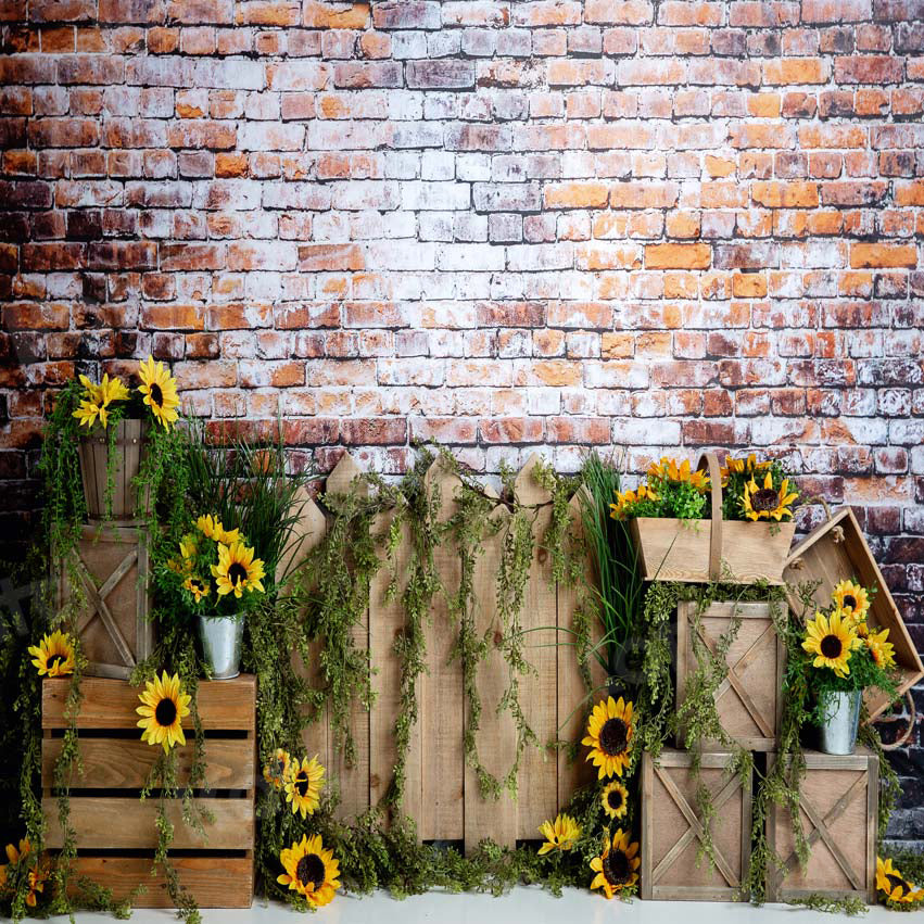 Kate Summer Sunflower Dark Brick Backdrop Designed by Megan Leigh Photography -UK