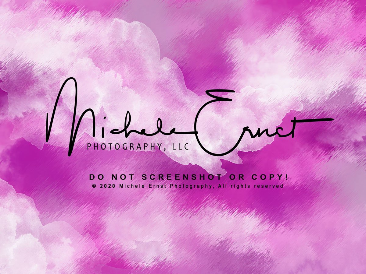 Kate Pink Abstract Backdrop Designed By Michele Ernst Photography -UK