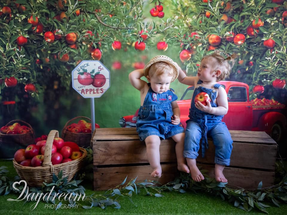 Kate Apple Orchard Red Truck Backdrop Designed by Rosabell Photography -UK