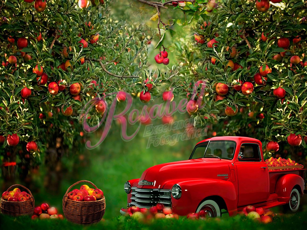 Kate Apple Orchard Red Truck Backdrop Designed by Rosabell Photography -UK