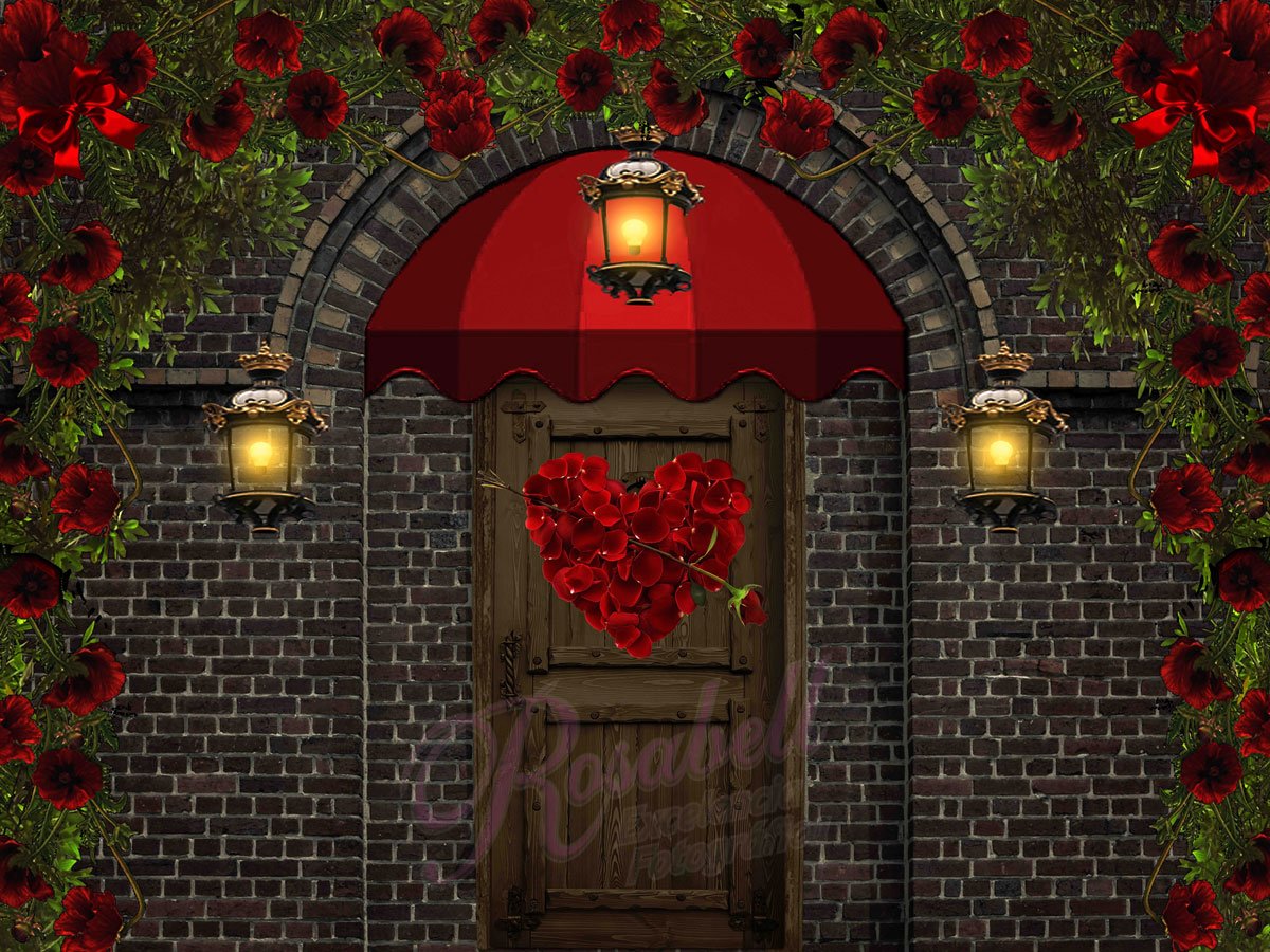 Kate Valentine's Day Front Door Backdrop Designed by Rosabell Photography -UK