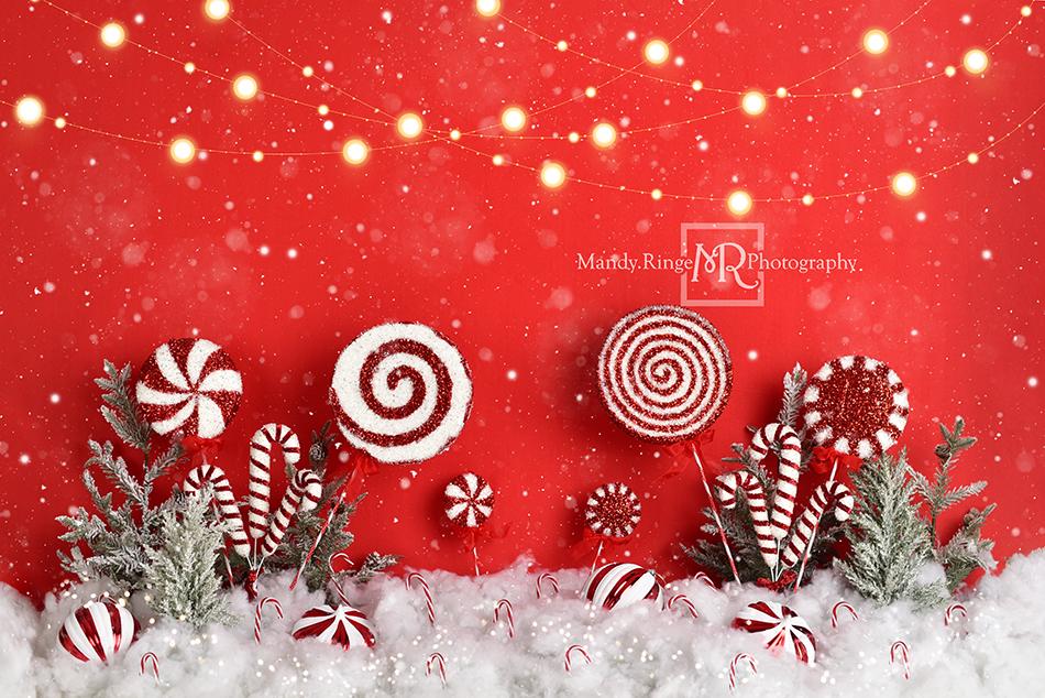 Kate Christmas Wonderland Backdrop Designed by Mandy Ringe Photography -UK