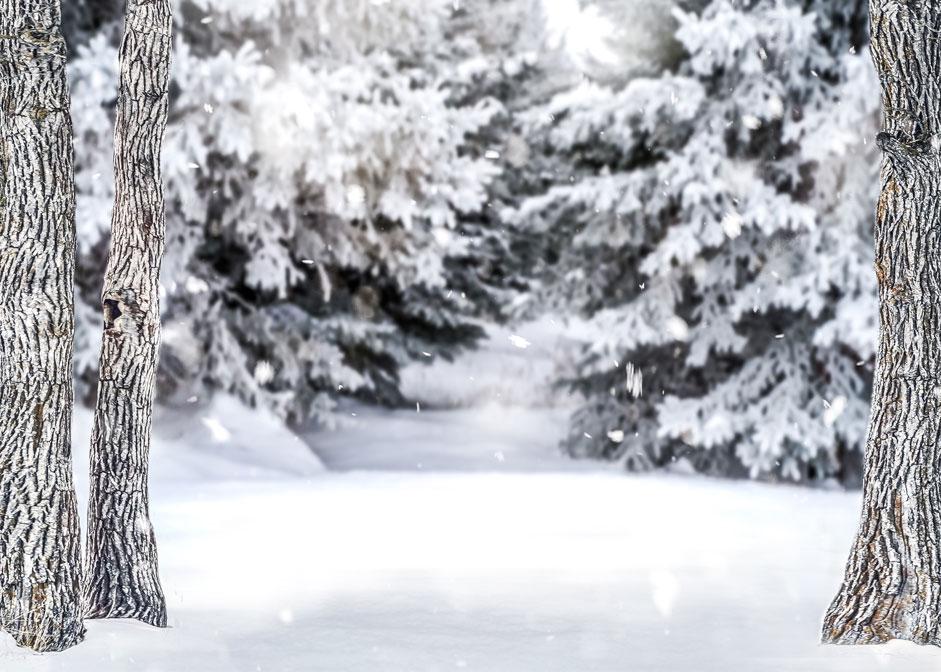 Kate Winter Forest Snow Backdrop Designed by Arica Kirby