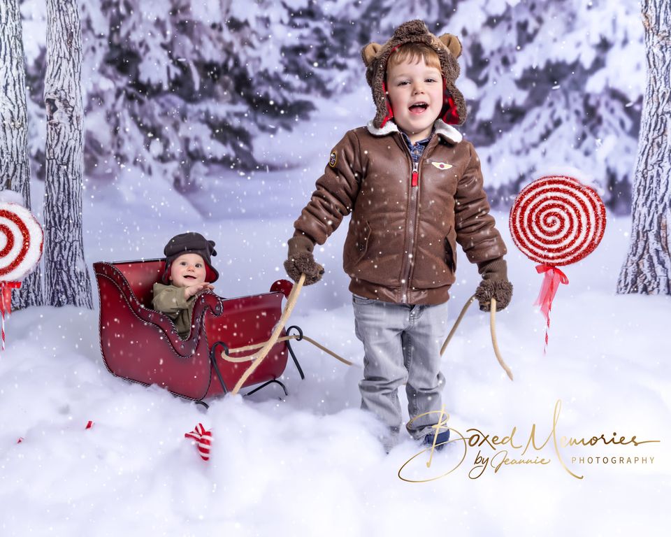 Kate Winter Forest Snow Backdrop Designed by Arica Kirby -UK