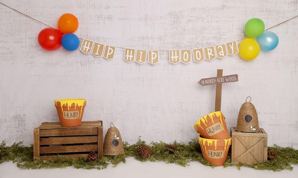 Kate Pooh Cake Smash Bee Birthday Backdrop Designed by Melissa King -UK