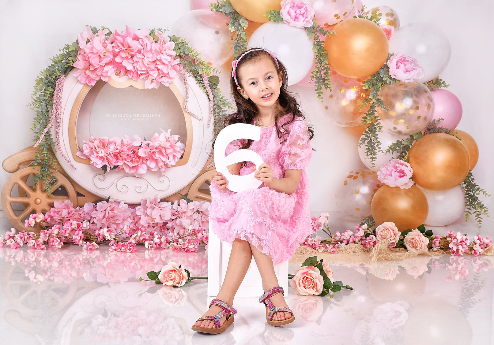 Kate Cake Smash Floral Balloon Carriage Backdrop Designed by Lisa B -UK