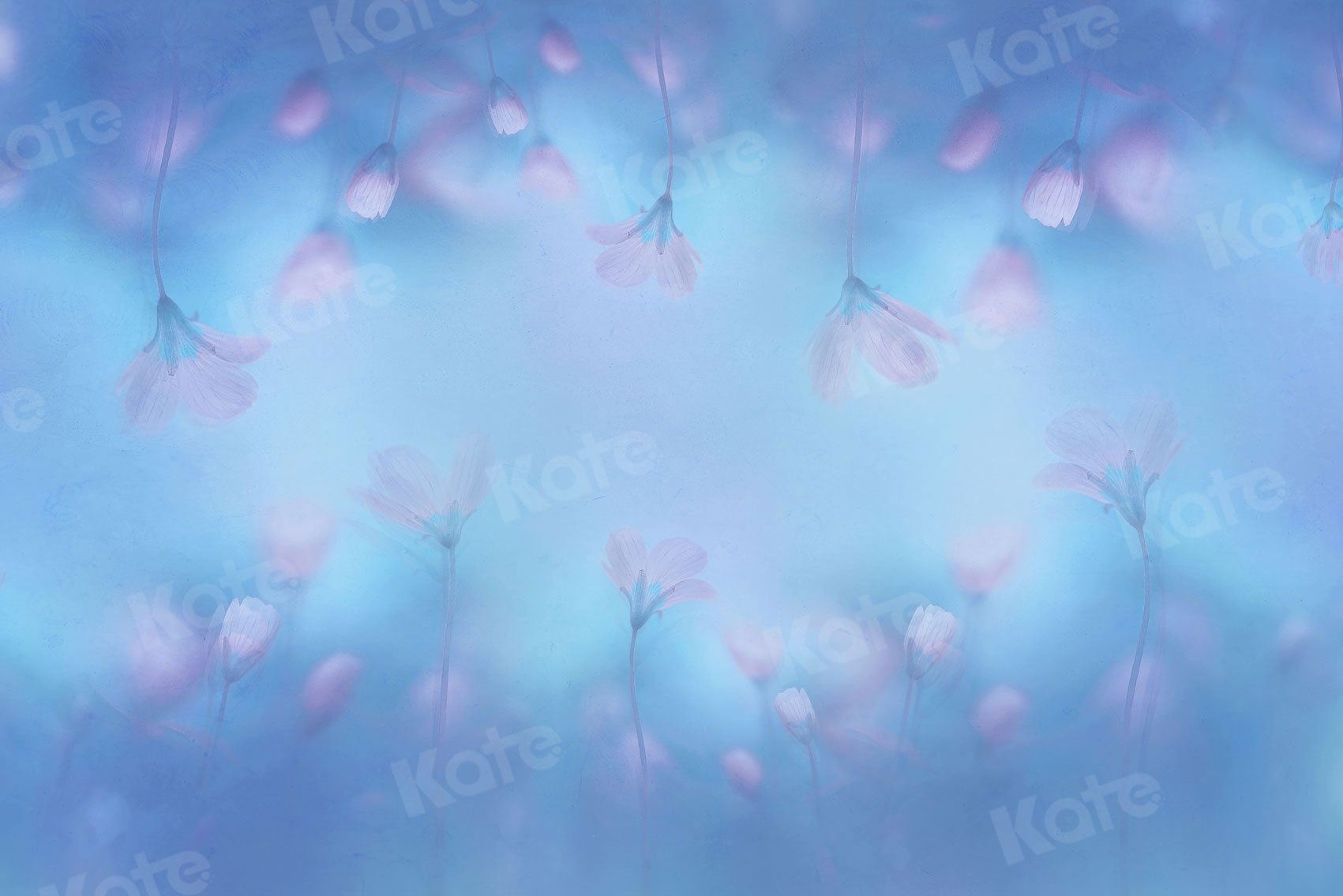 Kate Fine Art Light Pink Florals Blue Backdrop for Photography -UK