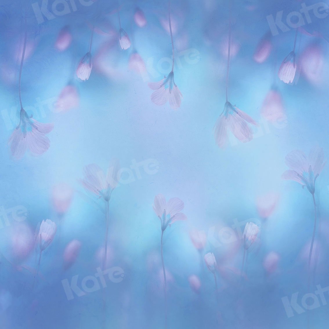 Kate Fine Art Light Pink Florals Blue Backdrop for Photography -UK