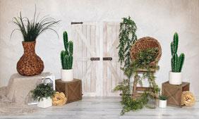 Kate Summer Cactus Door Backdrop Designed by Valerie Miranda -UK