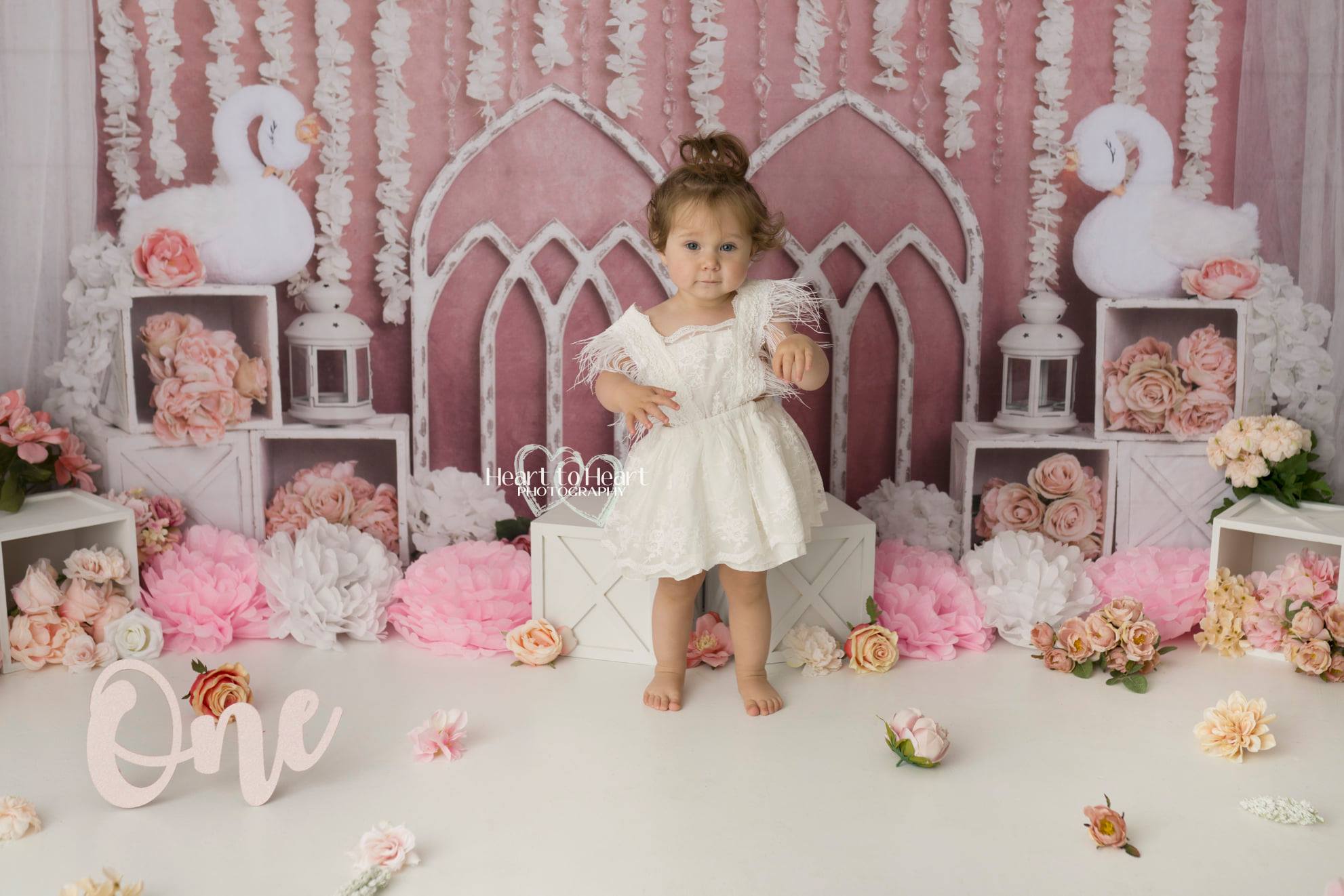 Kate Pink Swan Cake Smash Girly Backdrop for Photography Designed by Lisa B -UK
