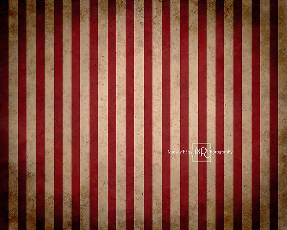 Kate Vintage Circus Stripes Children Backdrop Designed By Mandy Ringe Photography -UK