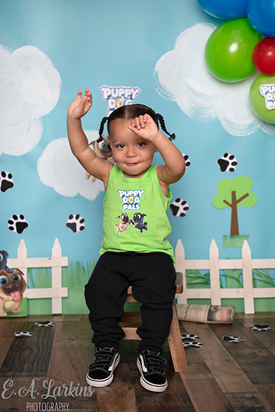 Kate Puppy Dog Friends Backdrop for Photography Designed By Erin Larkins -UK