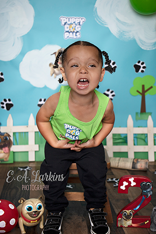 Kate Puppy Dog Friends Backdrop for Photography Designed By Erin Larkins -UK