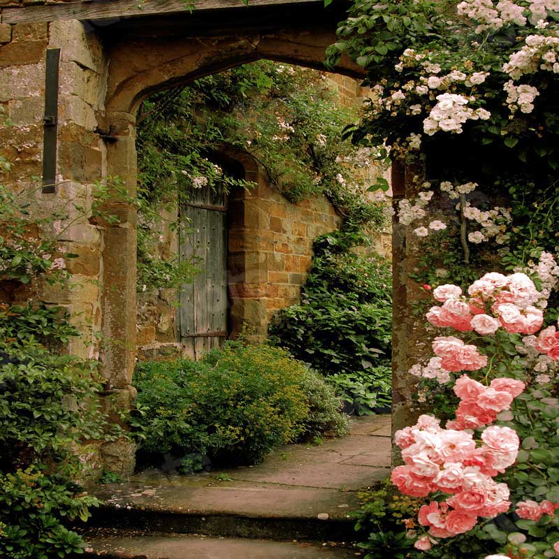 Kate Spring Scenery Backdrop Pink Rose Brick Arch Door Background for Photographer Photo - Kate backdrop UK