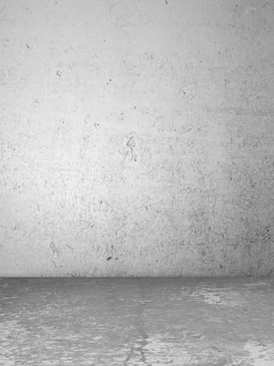 Katebackdrop£ºKate White Brick Textured Photo Backgdrops For Photographers