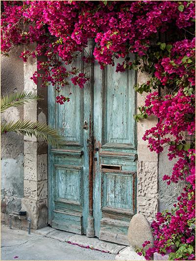 Kate Blue Door Red Floral Scenery Concrete Backdrop for Couple Photography - Kate backdrops UK
