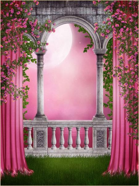 Katebackdrop£ºKate Disney Backdrop Floral Pink Curtain Moon Night