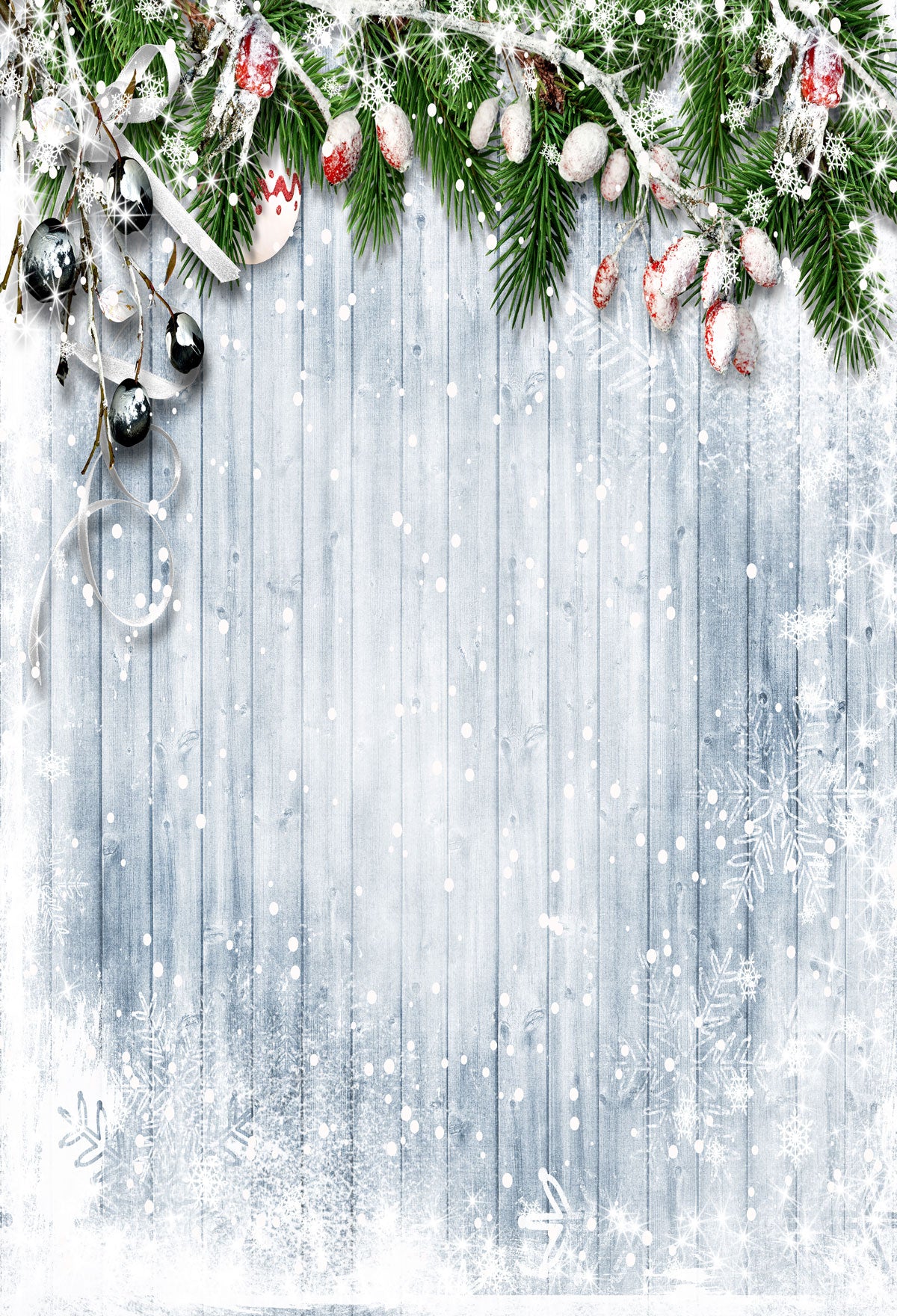 Kate Christmas Frozen Wooden Floor Beach Backdrops for Photography - Kate backdrops UK