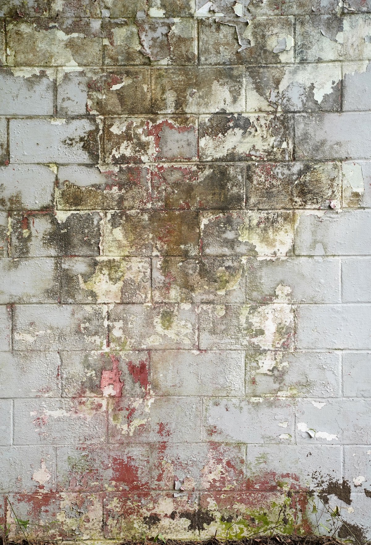 Kate Brick Spring Designed by Arica Kirby Backdrop for Photography - Kate backdrops UK