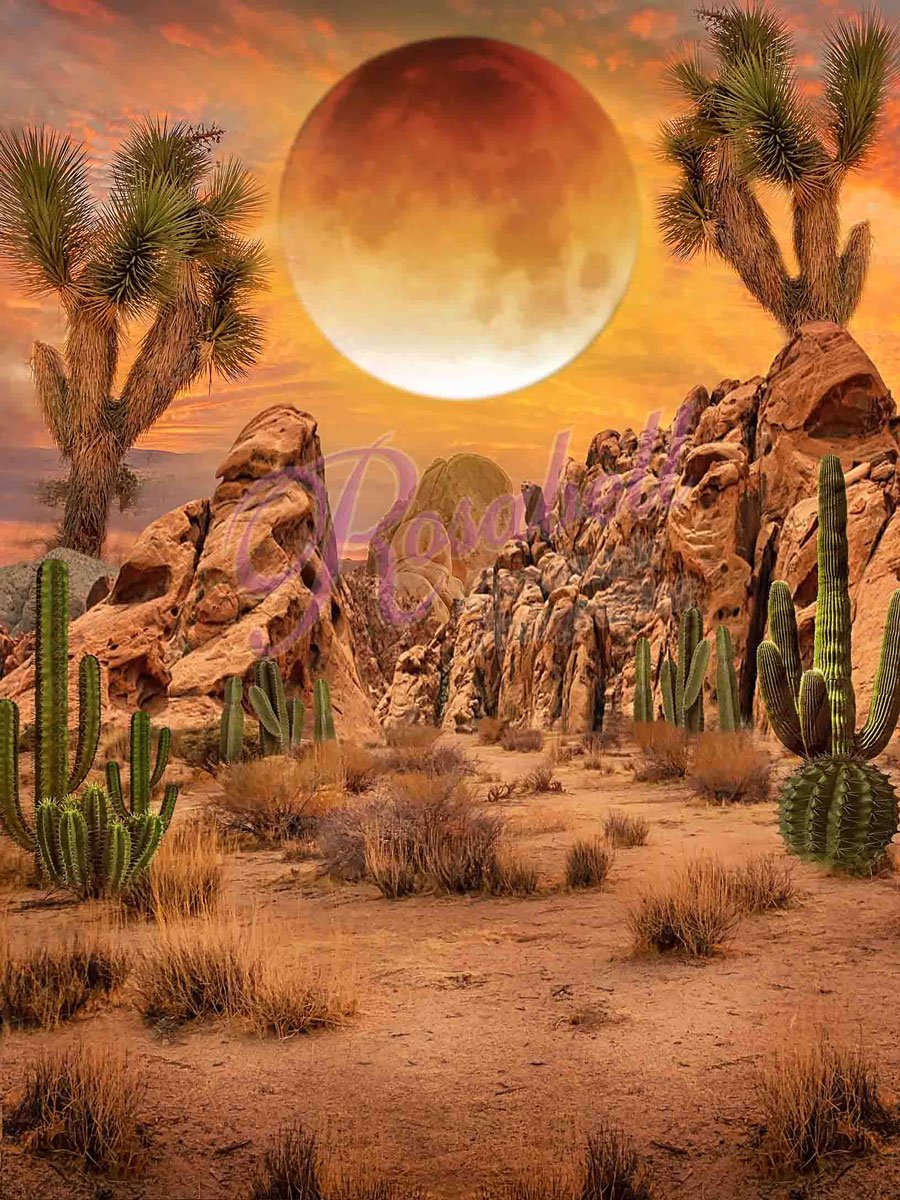 Kate Desierto Backdrop Designed by Rosabell Photography -UK