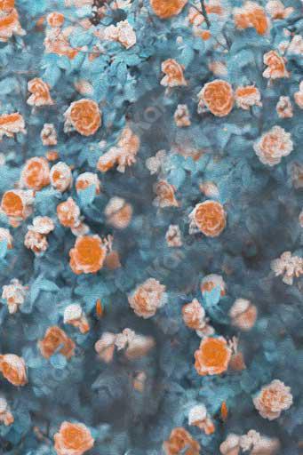 kate Fine Art Blurry Textured Florals Backdrop for Photography -UK