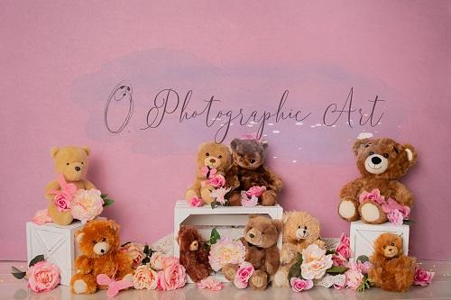 Kate Girly Bear Backdrop for Photography Designed by Jenna Onyia -UK