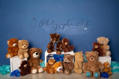 Kate Manly Bear Backdrop for Photography Designed by Jenna Onyia -UK
