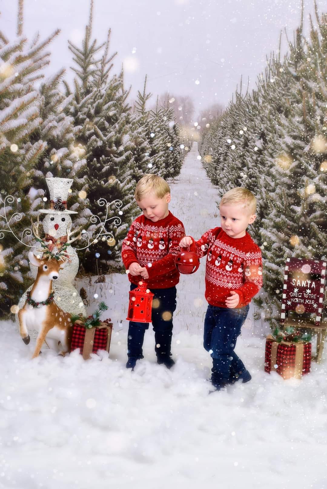 Kate Christmas Pines Tree Farm Path Backdrop for Photography -UK
