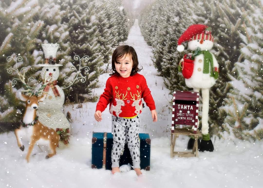 Kate Christmas Pines Tree Farm Path Backdrop for Photography -UK