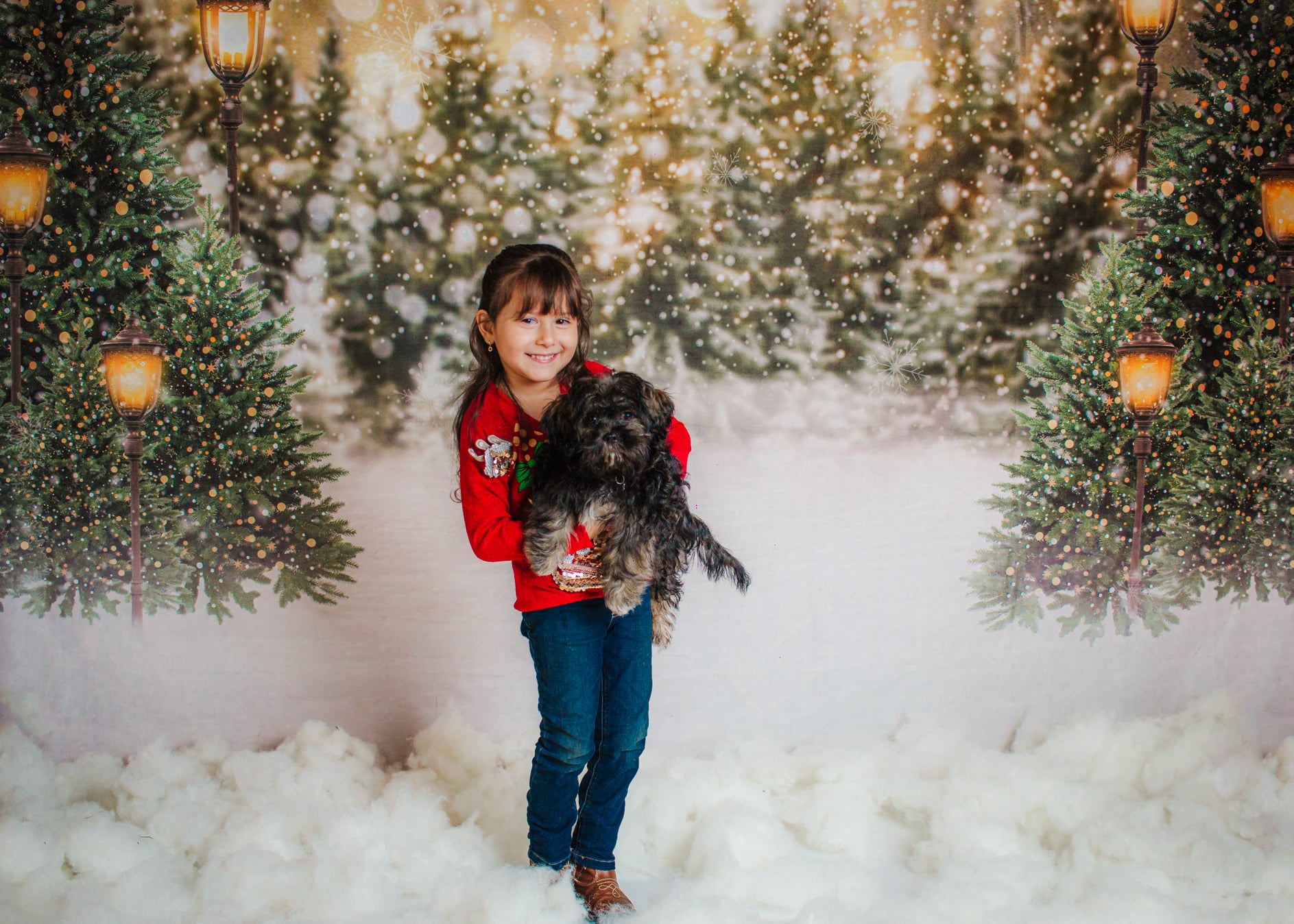 Kate Christmas Snow Forest Lights Backdrop for Photography -UK