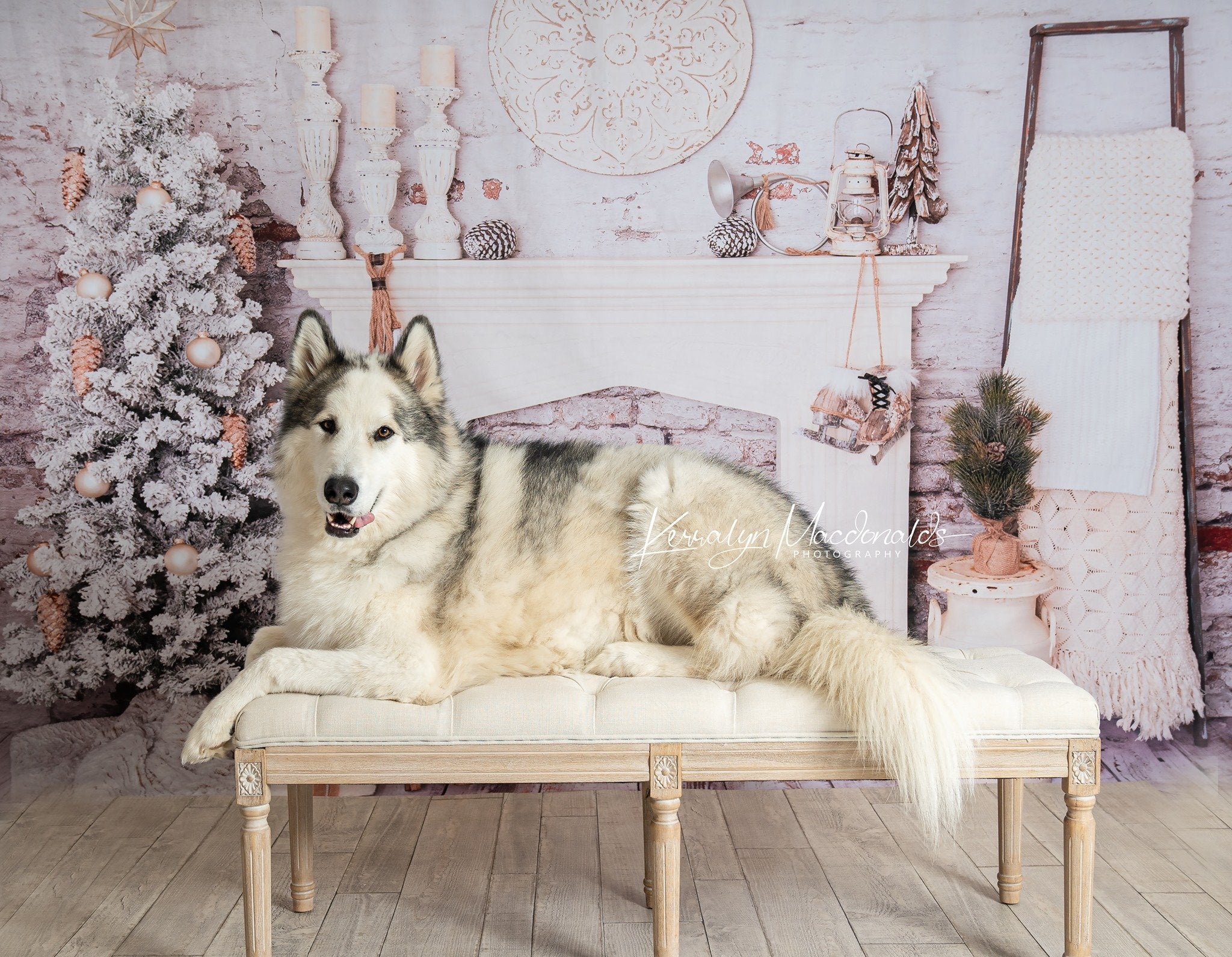 Kate Christmas Decorations Brick Room Backdrop Designed By Pine Park Collection -UK