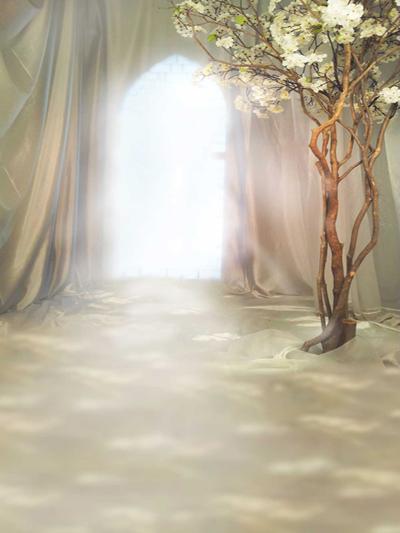 Kate Sunlight Through Window Spring Backdrop for Wedding Photography -UK