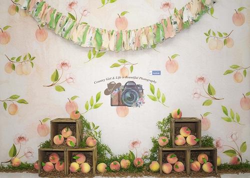 Kate Georgia Peach Backdrop Designed By Leann West -UK