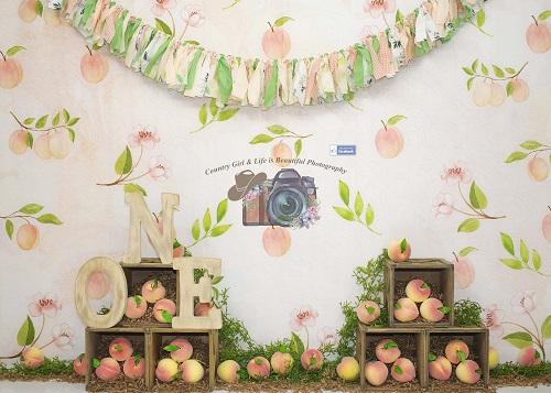 Kate Georgia Peach 1st Birthday Backdrop Designed By Leann West -UK