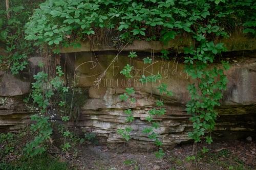 Kate Backdrop Cool Wall Designed By Leila Hale -UK