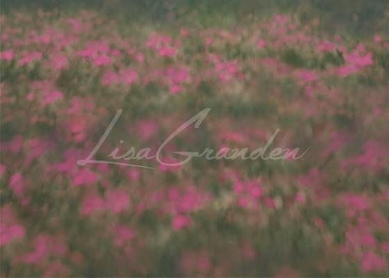 Kate Pink Orchard Floor Backdrop for Photography Designed by Lisa Granden -UK