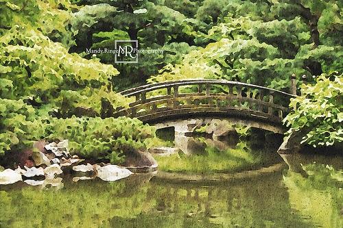 Kate Bridge Over Pond Backdrop Designed by Mandy Ringe Photography -UK