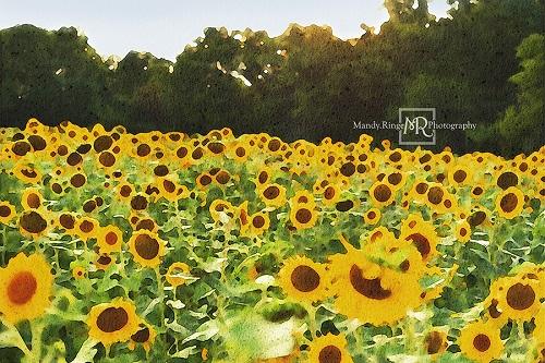 Kate Summer Sunflower Field Backdrop Designed by Mandy Ringe Photography -UK