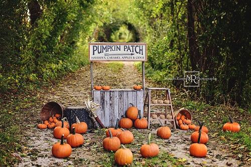 Kate Autumn/Thanksgiving Backdrop Pumpkin Stand Designed by Mandy Ringe Photography