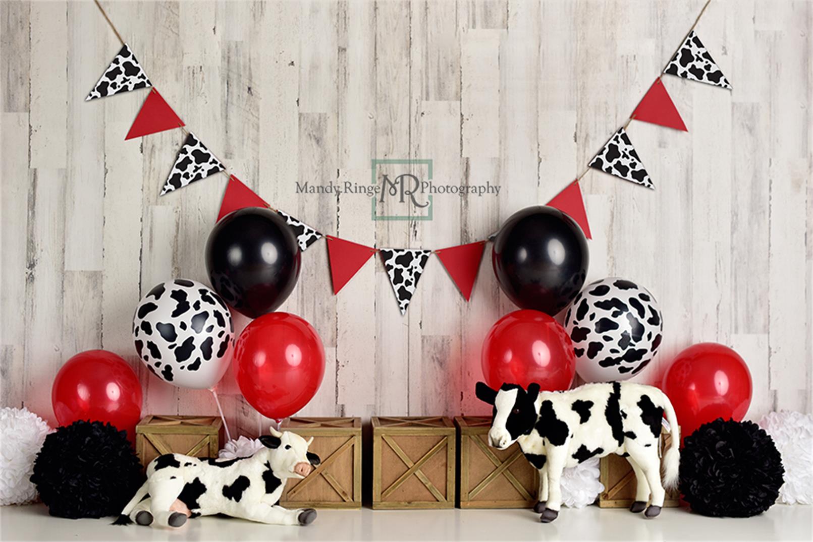 Cow Birthday Children Backdrop
