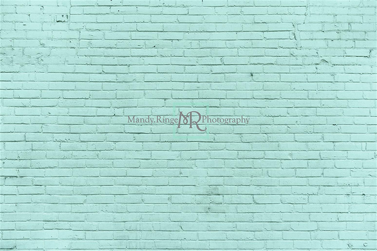 Kate Aqua Brick Wall Backdrop Designed by Mandy Ringe Photography -UK