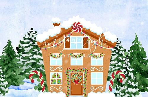 Kate Christmas Backdrop Gingerbread House Designed by Megan Leigh Photography -UK