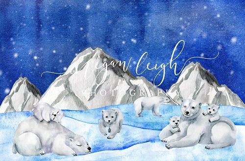 Kate Christmas Backdrop Polar Bears Designed by Megan Leigh Photography -UK